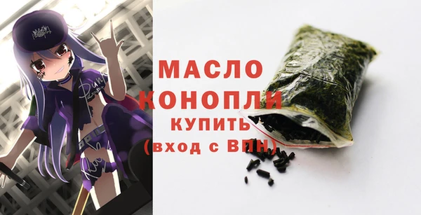 стаф Каменка