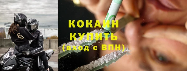 стаф Каменка