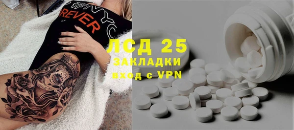 спайс Инта